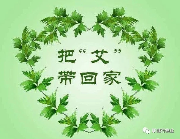 株株“愛意”（艾葉）草”，綿綿情意長(zhǎng)