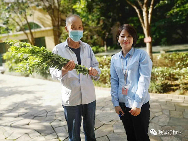 株株&ldquo;愛意&rdquo;（艾葉）草&rdquo;，綿綿情意長