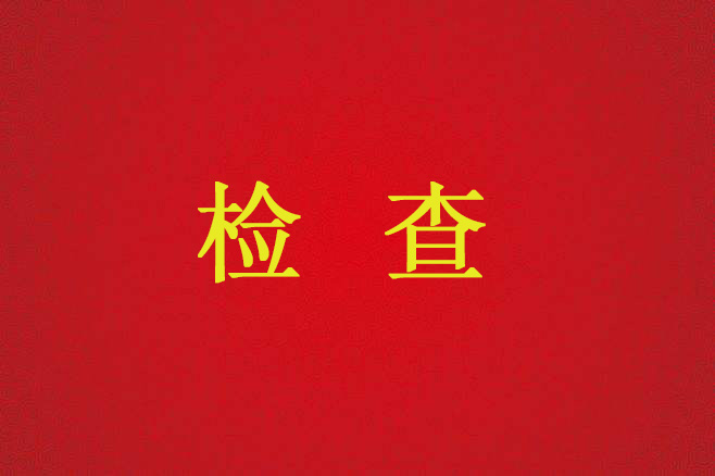 朱雀項(xiàng)目不動(dòng)產(chǎn)登記中心發(fā)電機(jī)系統(tǒng)檢查