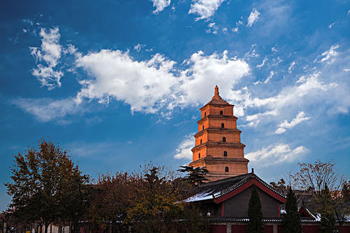 賞曲江美景，體驗中國年