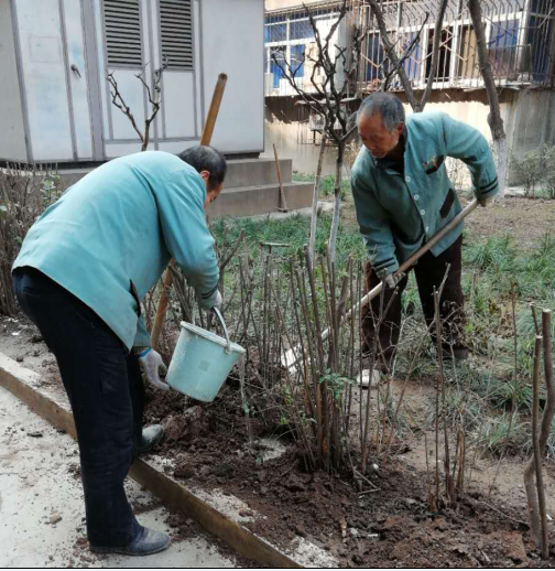  補栽花木，播種希望