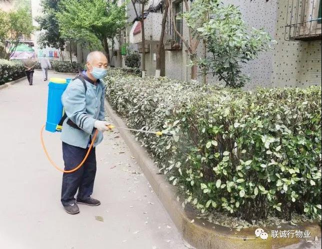 1592912610492245.jpg 30-2.jpg