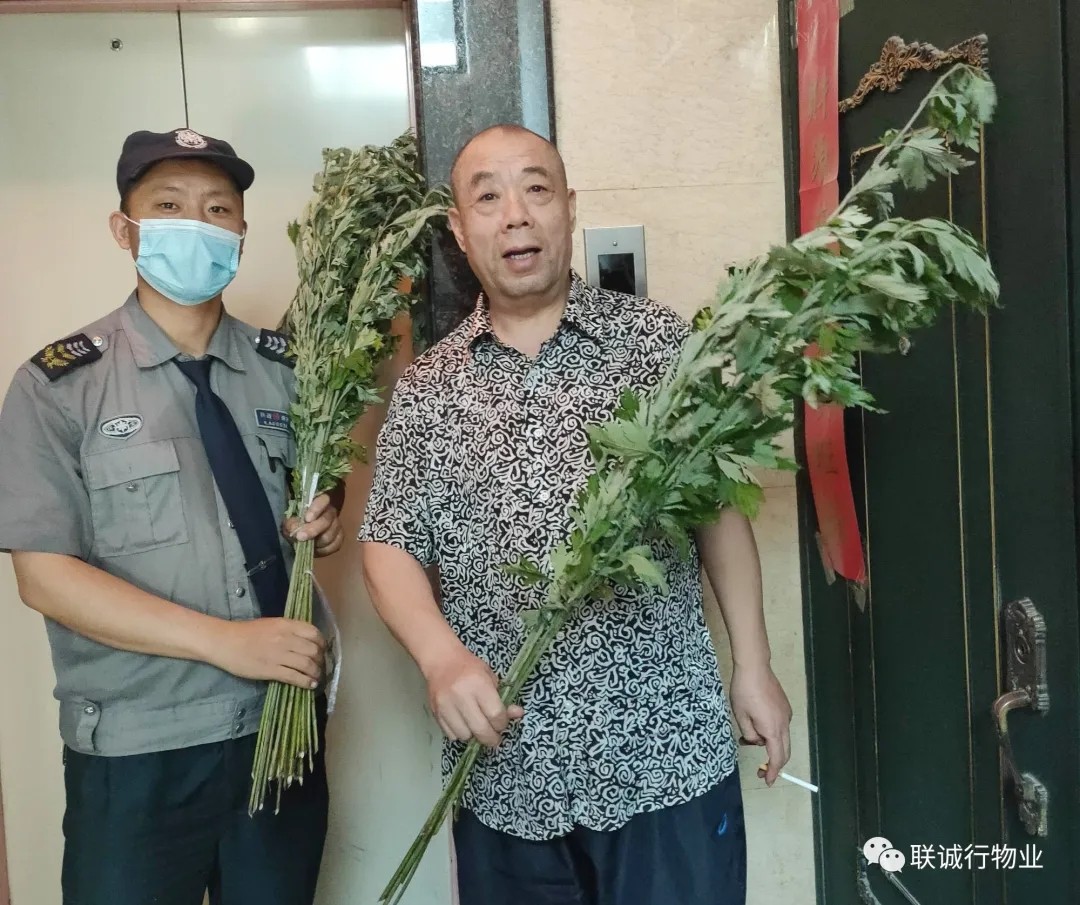 1593343954794439.jpg 640.webp (6).jpg