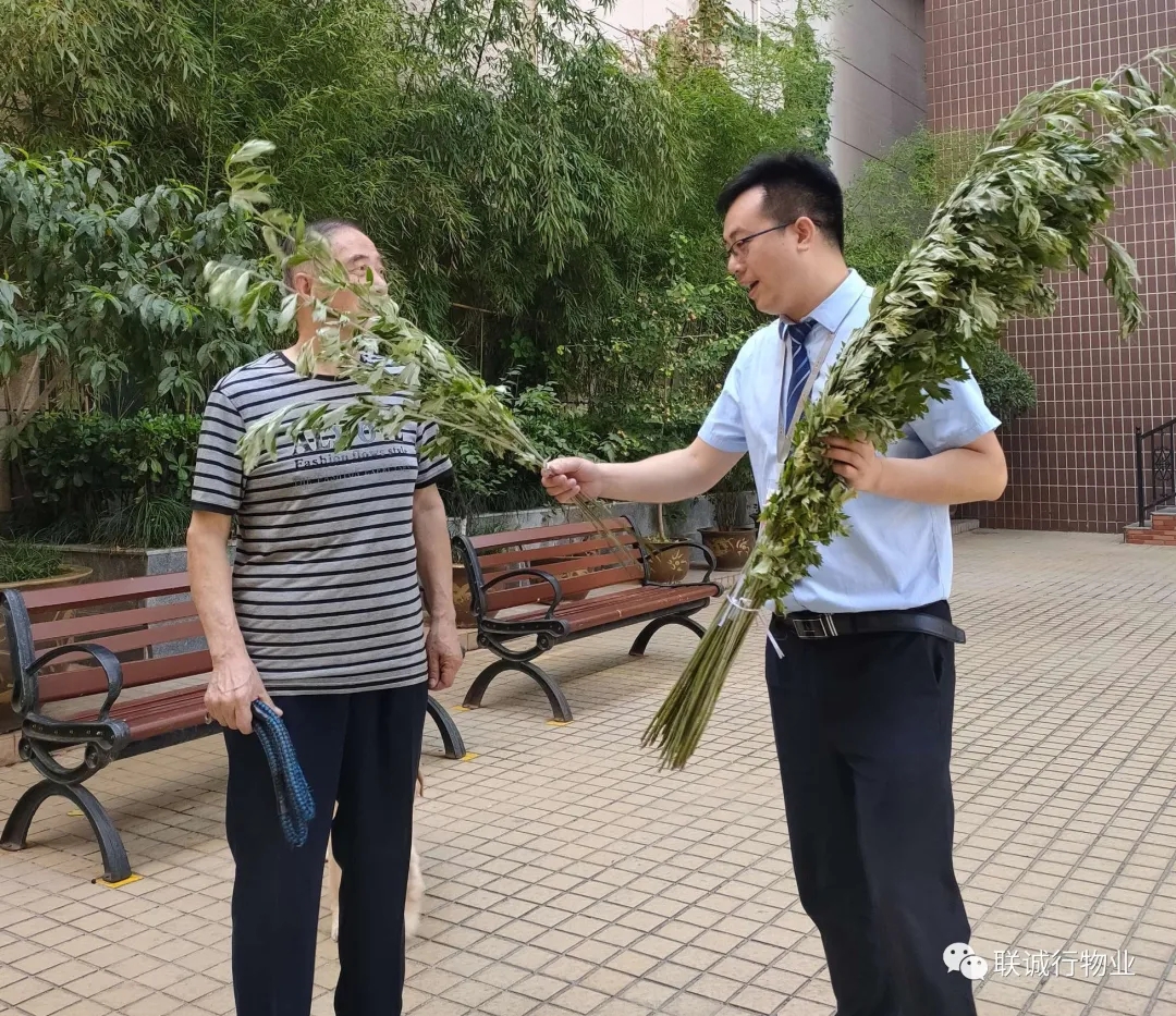 1593343980897460.jpg 640.webp (10).jpg