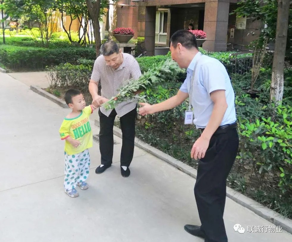 1593344010483999.jpg 640.webp (11).jpg