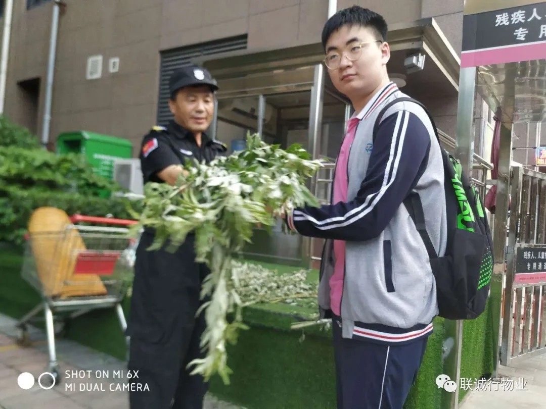 1593344037323520.jpg 640.webp (15).jpg