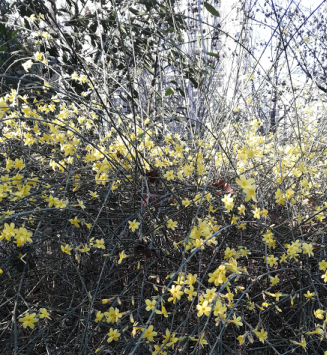 1594970459619370.png 圖片5.png