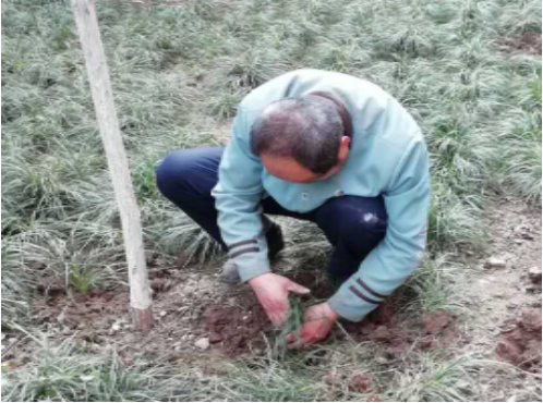 1594981887195844.jpg 1594981860(1).jpg