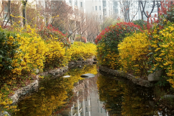 1594982404841518.jpg 1594982381(1).jpg