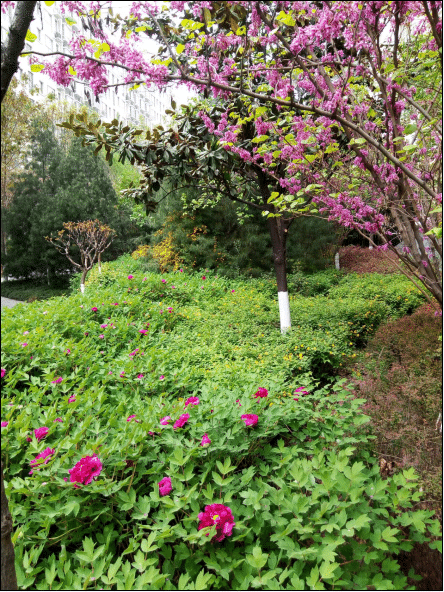 1594982427243451.png 圖片2.png