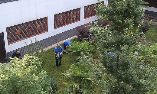 夏日除草熱情高，綠草如茵美如畫