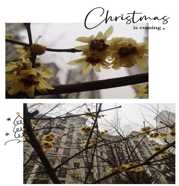 1612491089134923.png 1612491089134923.png