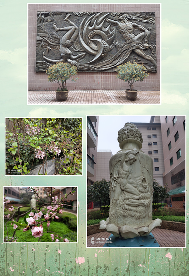 1615969701513024.jpg 13 (2).jpg