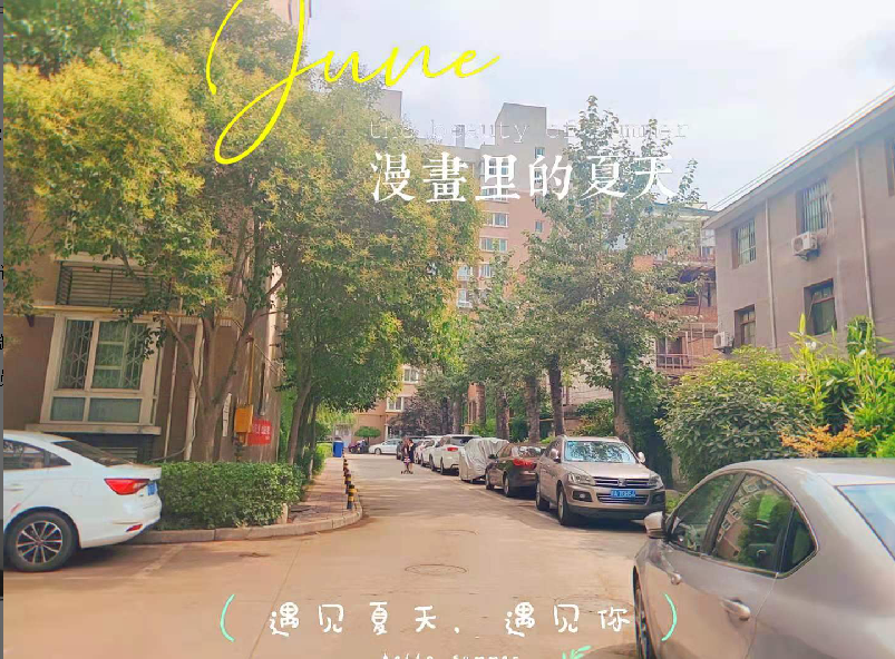 1626247844174359.png image.png