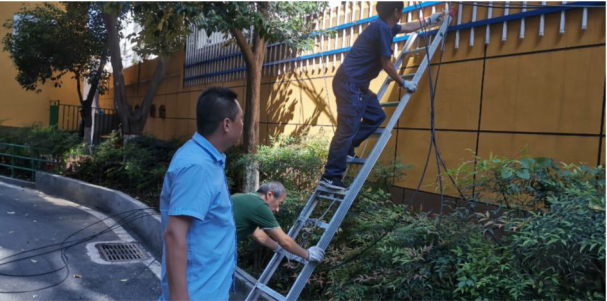 拆除廢棄線(xiàn)纜 營(yíng)造溫馨家園