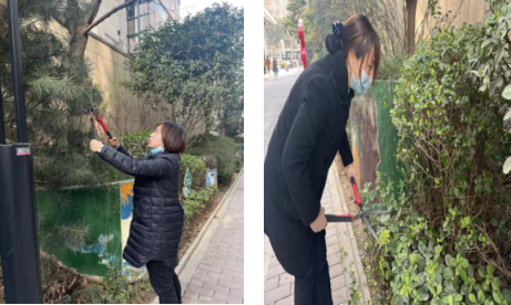 1648622926990991.png image.png