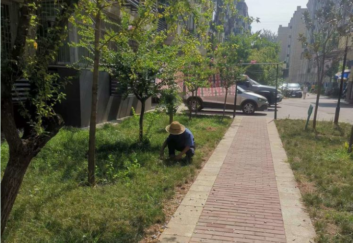 1660905895114163.png image.png