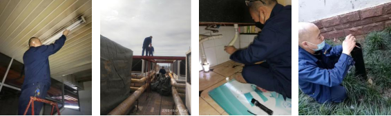 1668388022248457.png image.png