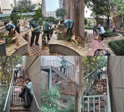 1669622424960211.png image.png