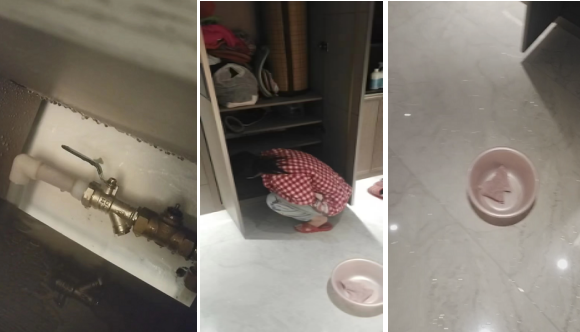 服務(wù)沒有“暫停鍵” 我們始終在您身邊  ——記錄曲江源著物業(yè)管理處凌晨緊急處理業(yè)主暖氣漏水情況