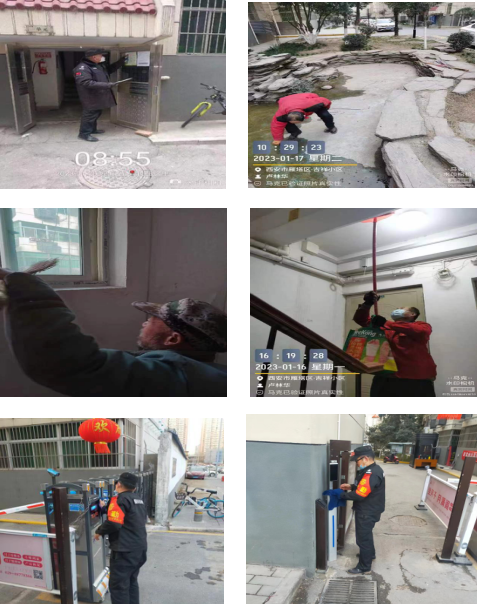 瑞兔守吉祥，平安過大年