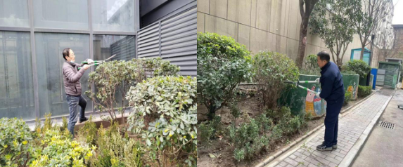 春風(fēng)得意修綠化，打造宜居新環(huán)境