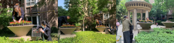 1682643543191918.png image.png