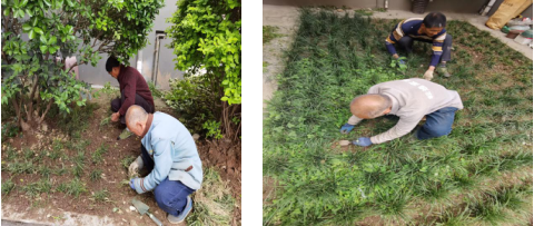 1685063993579944.png image.png