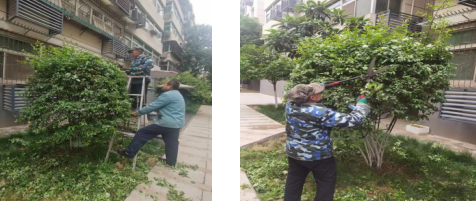 1685064014217496.png image.png