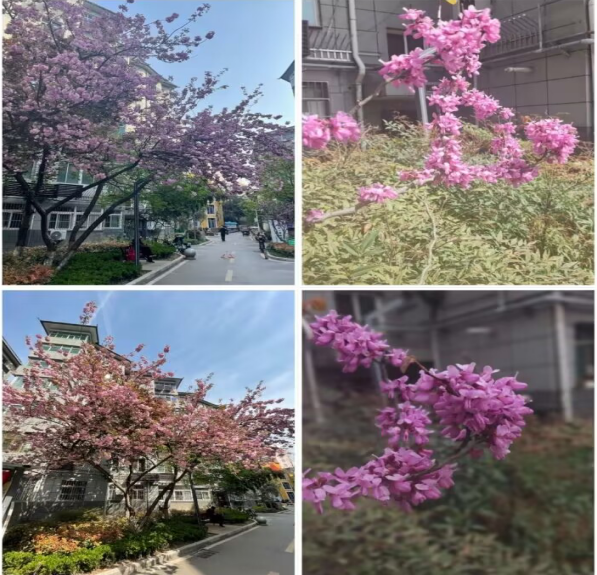 1685064561761457.png image.png