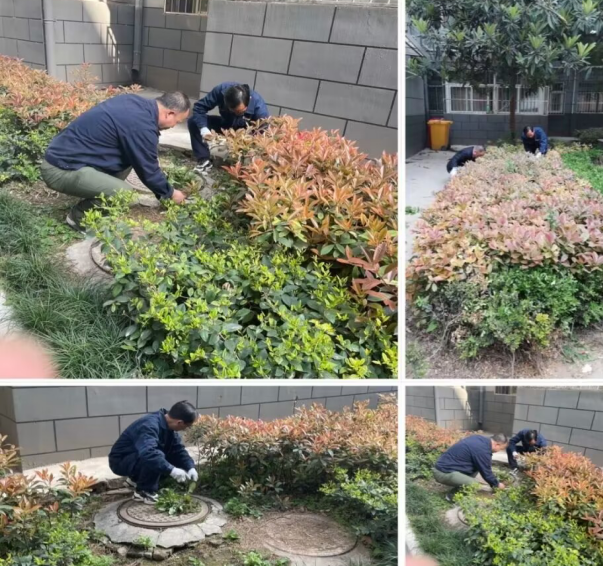 1685064618310290.png image.png