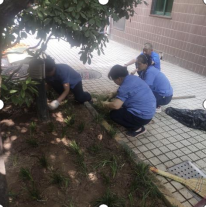 1692785184103862.png 1692785184103862.png