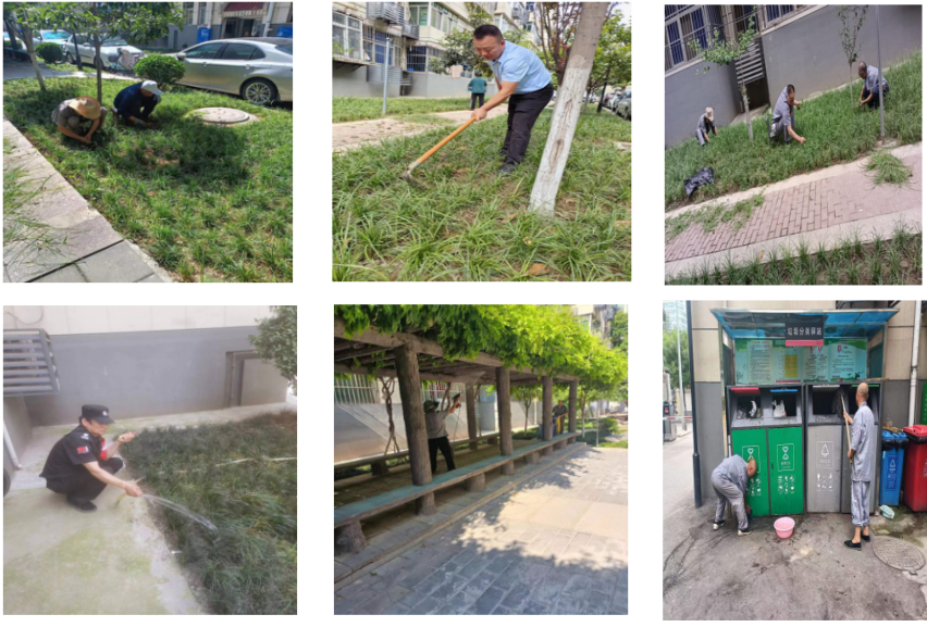 吉祥小區(qū)6月工作紀(jì)實