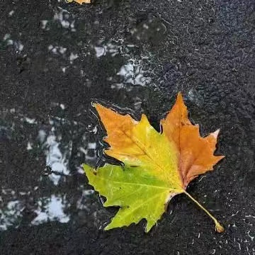 1729319563131772.png 企業(yè)微信截圖_1729319453844.png