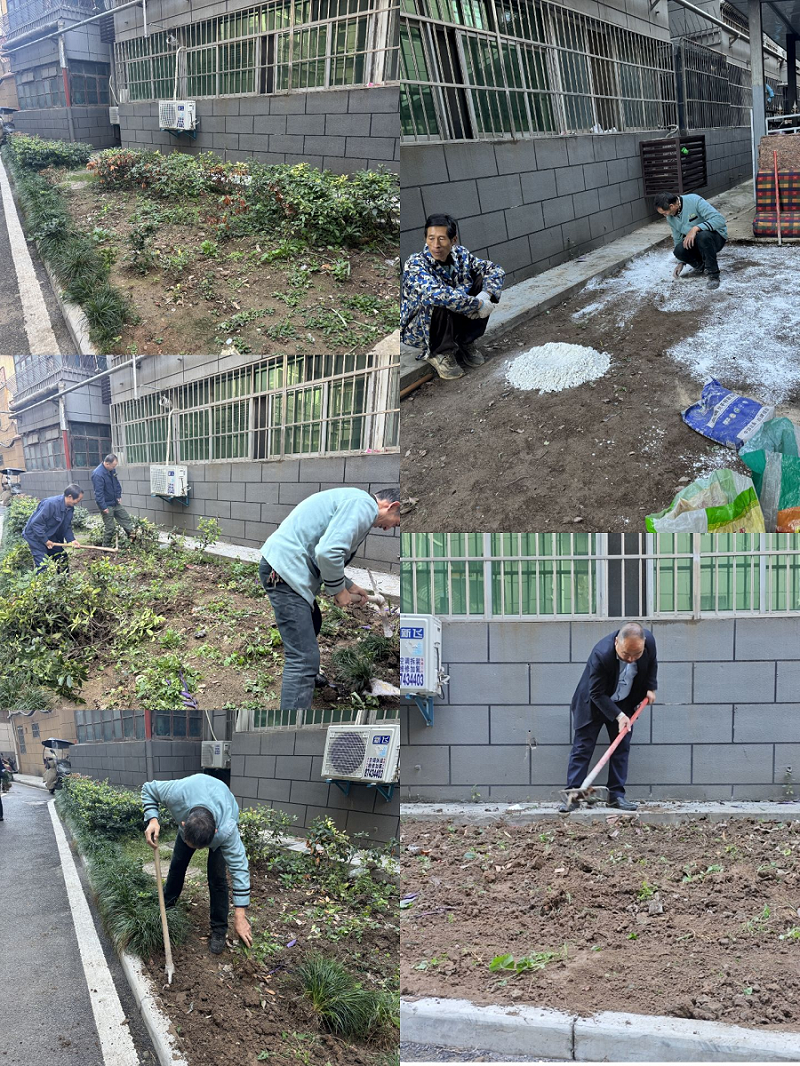 1730366210429940.png 1730366210429940.png