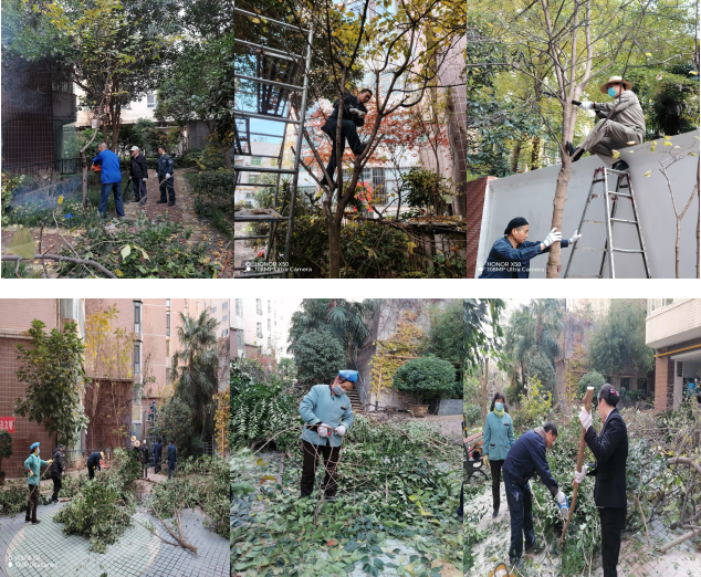 1732176331810534.png image.png