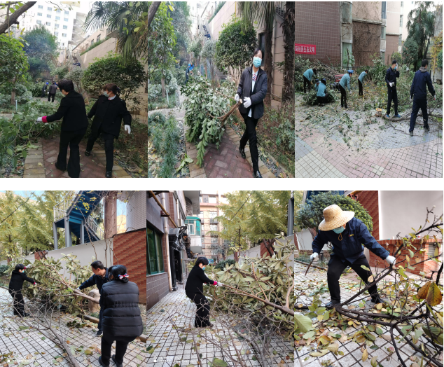 1732176358625050.png image.png