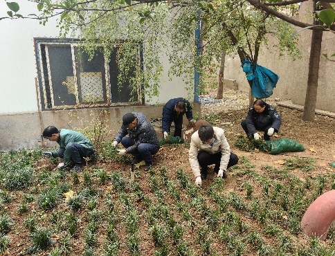 補(bǔ)栽增綠 我們在行動(dòng)