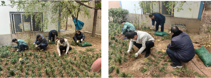 1735521129316623.png image.png