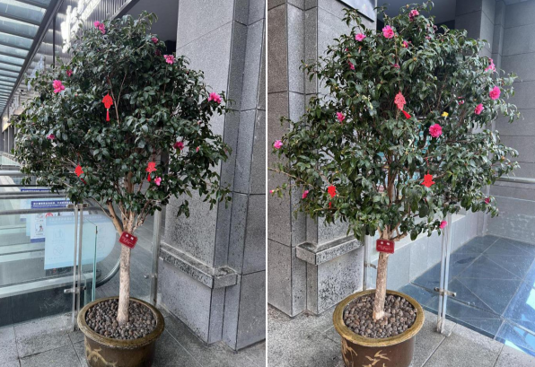 1741946737642093.png 企業(yè)微信截圖_17419467239650.png