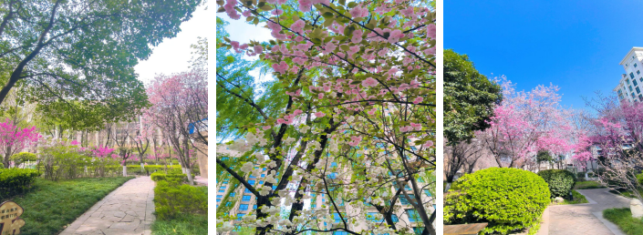 1745572188794629.png 企業(yè)微信截圖_17455721752245.png