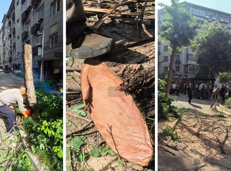 1751427321653552.png 企業(yè)微信截圖_17514263963776.png