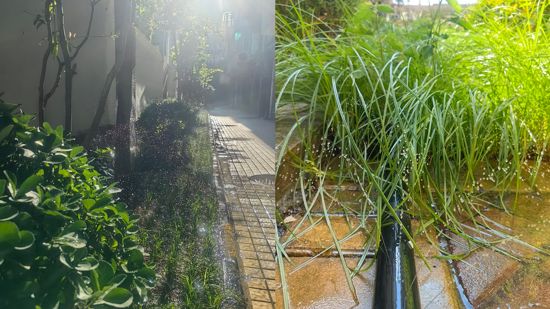 1756977414644789.jpg 1756977381699.jpg