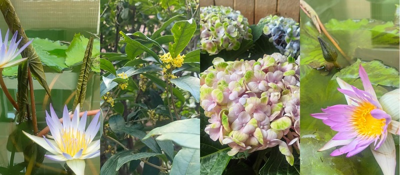 1762999037613685.jpg 圖片2.jpg