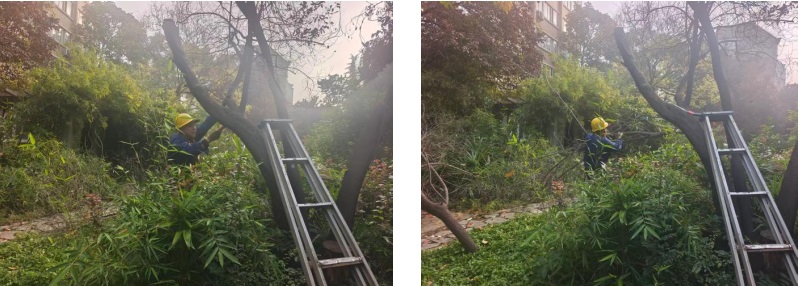 1762999425143084.jpg 企業(yè)微信截圖_17629990954827.jpg